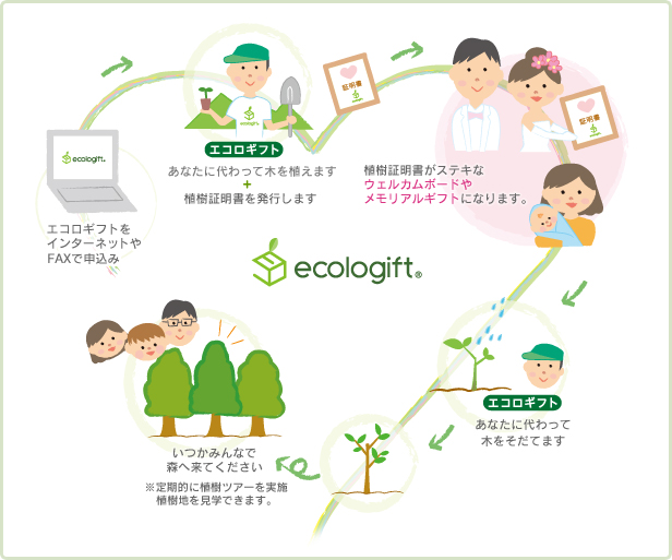 エコロギフトをインターネットやFAXで申込み → (エコロギフト)あなたに代わって木を植えます＋植樹証明書を発行します → 植樹証明書がステキなウェルカムボードやメモリアルギフトになります。 → (エコロギフト)あなたに代わって木をそだてます → いつかみんなで森へ来てください。※定期的に植樹ツアーを実施植樹地を見学できます。 